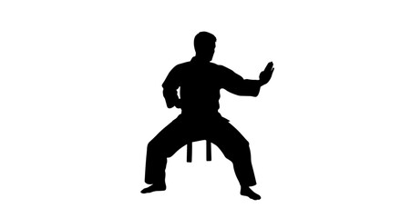 Silhouette of a person in a martial arts gi performing a karate stance with wide legs and raised arms on a white background. © Maulana