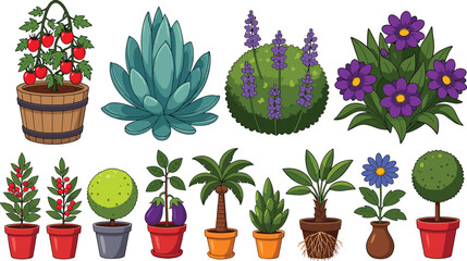 Collection of colorful illustrated plants and flowers including tomato, cactus, succulents, berry plants, eggplant, palm tree, topiary, daisy, and decorative botanical artwork for gardening design © Ziyarul