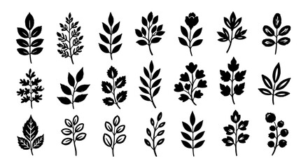 Hand Drawn Leaf Silhouettes and Botanical Branch Doodle Icon Vector Set