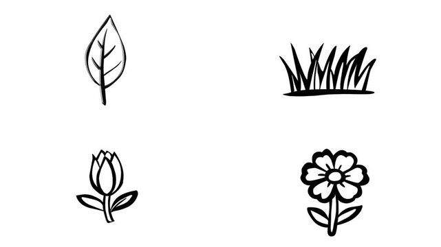 2D Animated Botanical Icons Set for Nature Theme