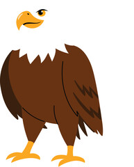 Brown bald hawk, freedom falcon, wild eagle illustration