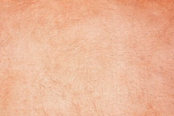 Warm Terracotta Clay Plaster Wall with Artistic Swirls