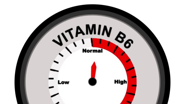 Vitamin B6 Level Gauge Showing Low Reading On A White Background b6 vitamin deficiency