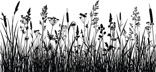 Detailed black silhouette illustration of diverse wild grasses, cattails, and meadow plants arranged naturally, perfect for botanical, ecological, nature, and decorative design projects