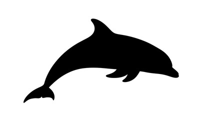 Obraz premium Black silhouette of a dolphin swimming.