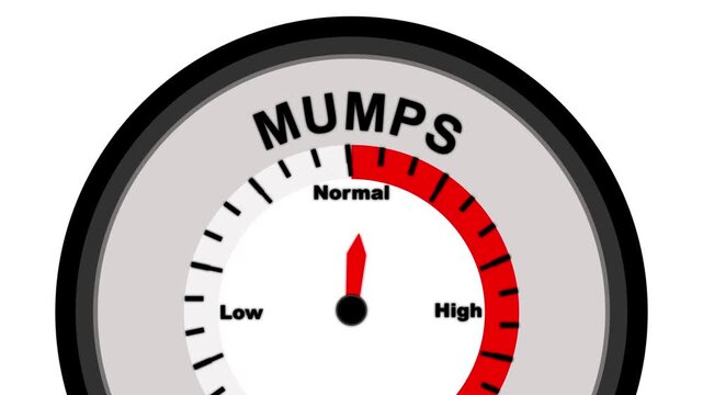 Mumps Level Gauge Meter Indicating High Concentration Keywords: mumps, gauge, meter, dial, indicator, measurement, level, concentration, disease, virus, health, medical, condition, risk, danger