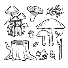 Forest mushrooms sketches, vector illustration