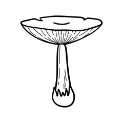Mushroom line art sketch