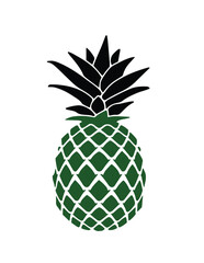 pineapple vector illustration