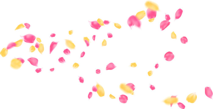 Soft focus pink and yellow rose petals floating along a curved line