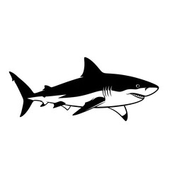 Obraz premium Black shark illustration on white background.