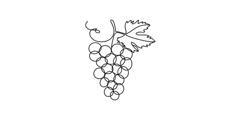 A simple black and white line drawing of a cluster of grapes with a single leaf and vine. Vector, illustration © Rimi Kailash Arts