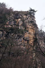 Fototapeta premium high black cliffs with trees. Eagle Cliffs in Sochi