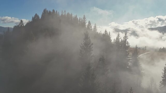 Aerial view of heavy swirling fog covering a beautiful green mountain ridge, bright sunlight trying to break through the thick mist in the dense pine forest