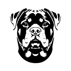 Fototapeta premium head of a rottweiler portrait