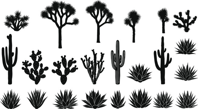 Black silhouette desert plant collection featuring Joshua trees, cacti, and agave varieties, stylized botanical illustration set for design, landscaping, and educational desert flora concepts