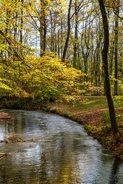 Golden autumn view in famous Munich relax place - Englischer Garten. Munich, Bavaria, Germany