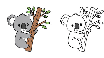 Cute cartoon koala climbing tree branch colored illustration and black and white coloring page vector © MstTabassum