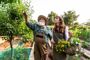 Farmers discussing plants growing in countryside orchard