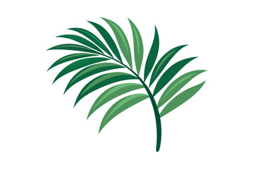 Fototapeta premium A minimalist vector illustration of a green palm leaf on a white background