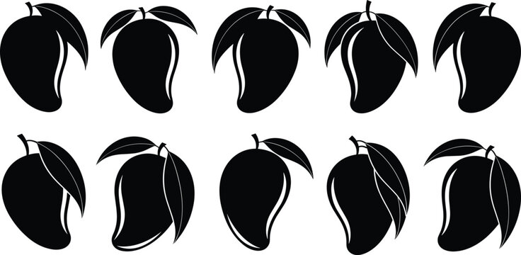 Mango silhouette vector set. Black solid tropical fruit icons with leaf variations. Minimal flat mango shapes isolated on white background.