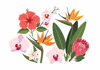 Exotic Tropical Flowers Arrangement Featuring Hibiscus, Orchid, Bird of Paradise, and King Protea in a Vibrant Floral Display © dhorido studio