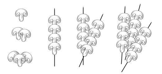 Cartoon drawing mushroom slices. Silhouettes of forest mushrooms. Champignon mushroom icon. Hand drawn mushroom. Culinary, for consumption and for the kitchen. Fresh cooking food. © MarkRademaker