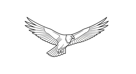 Obraz premium Bird in flight with outstretched wings.