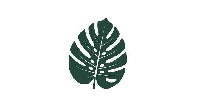 Large Dark Green Tropical Leaf Closeup.