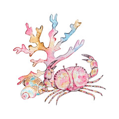 Watercolor seashell composition, underwater animals ocean.