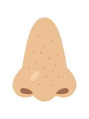 Frontal illustration of a nose showing blackheads and pore problems