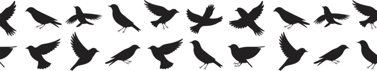 Fototapeta premium Bird Silhouette Icon Set Featuring Flying and Perching Avian Shapes for Wildlife Nature Design Ornithology Concepts and Decorative Graphic Elements