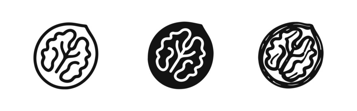 Walnut Icons Set. Outline, Solid, and Doodle Styles. Healthy Nut Food and Ingredient Vector Illustration.