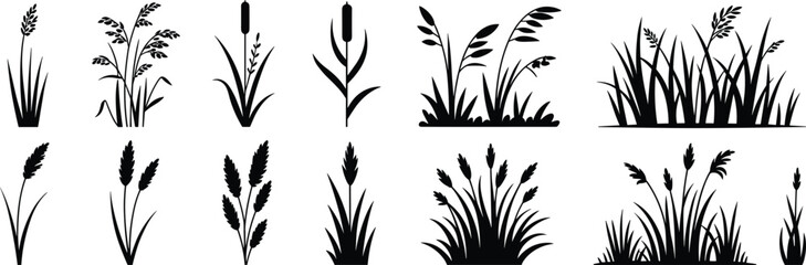 Black silhouette grass and wild plants vector set featuring reeds, wheat ears, meadow herbs and botanical elements isolated for nature design and decoration.