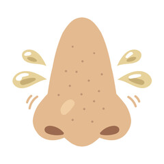 Illustration of an oily nose showing excessive sebum secretion Front view