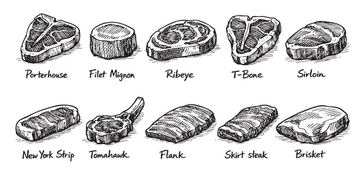 Hand-drawn illustration showcasing different cuts of steak, including porterhouse, filet mignon, ribeye, T-bone, sirloin, New York strip, tomahawk, flank, skirt steak, and brisket.