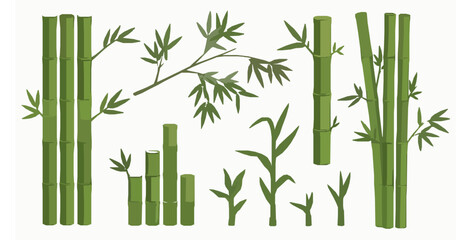 Botanical bamboo stalks sprouts and branches flat vector set © MdRaisul