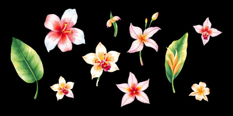 Watercolor Floral Set. Collection of Hand Drawn Tropical Flowers Isolated on Black Background