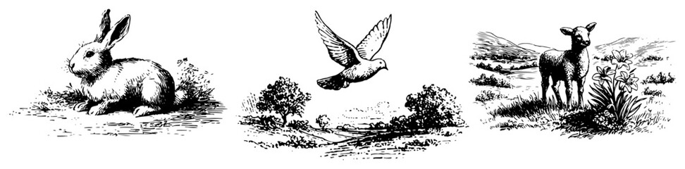 Collection of three symbolic animals including a bunny rabbit dove and lamb © Amelia
