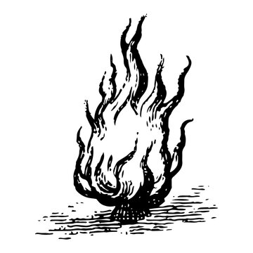 Vintage hand drawn engraving of a burning bush or sacred holy fire in traditional woodcut style