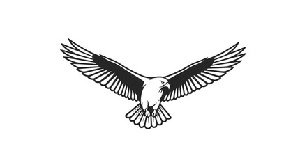 Obraz premium Black and White Dove in Flight.