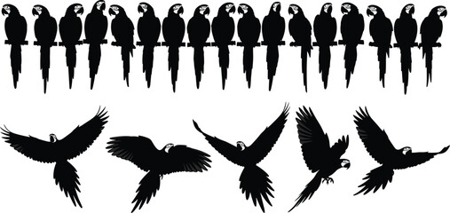 Parrot silhouette collection with perched and flying macaws, Parrot silhouette collection with perched and flying macaws © Ideasy Mind