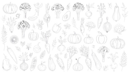 Fototapeta premium A diverse collection of intricate and detailed symbols and icons isolated on transparent background