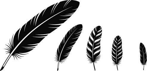 Set of detailed black feather silhouettes in various sizes and styles isolated on white background for nature and wing designs. © Farzana