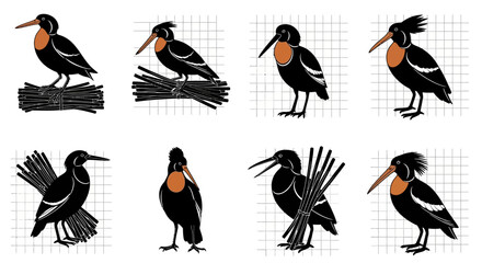 Collection of black birds with orange necks in various poses and movements on white background