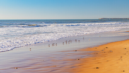 Spanish atlantic ocean waves and beaches © Olivier