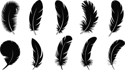 Set of black decorative feather silhouettes isolated on white background, various bird plumage elements for bohemian style, tribal art, and nature-inspired graphic design.