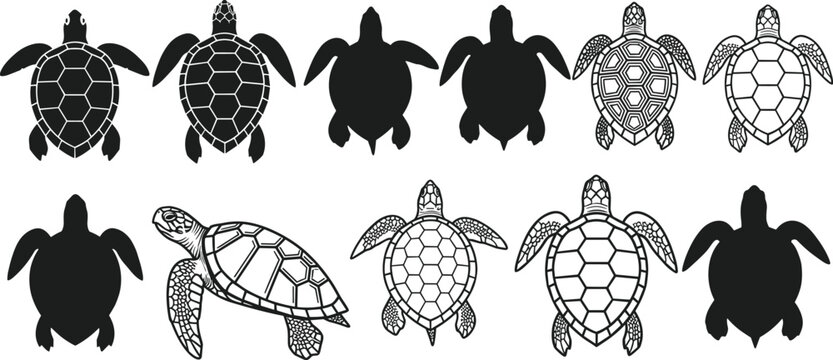 Collection of turtle silhouettes and detailed shell designs, top-down view illustrations, rustic aquatic animal artwork, educational biology visuals, traditional reptile pattern representation set