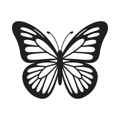 A simple black and white illustration of a butterfly with detailed wing patterns © Jannatul