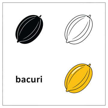 Bacuri fruit icon set with silhouette outline and color versions vector drawing